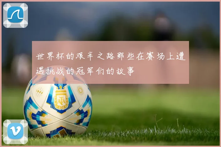 世界杯的艰辛之路那些在赛场上遭遇挑战的冠军们的故事