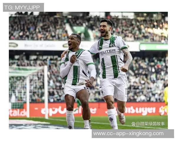 德甲赛事分析门兴主场力克莱比锡展现强大实力 德甲赛事分析门兴主场力克莱比锡展现强大实力